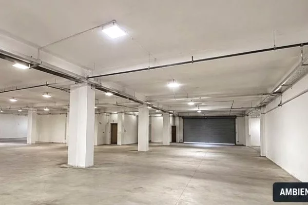 Ambient biznesi me qera 4+1 ne Tirane - 3,282 Euro