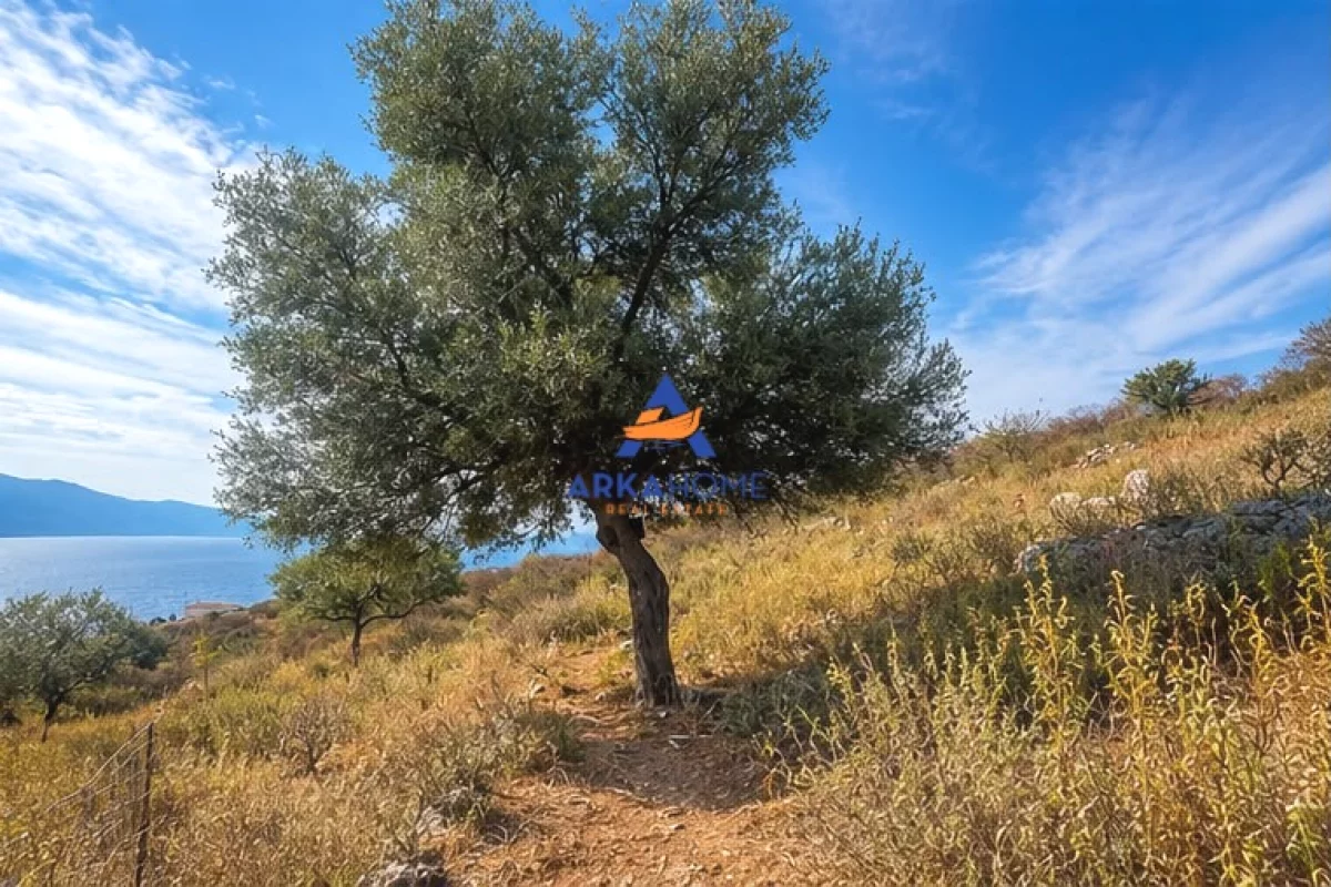 SHITET TOKE 460 M2 "NE QEPARO" 10.200.000 LEKE