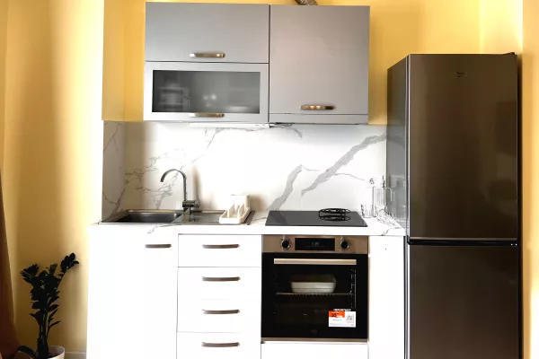 Shtepi me qera Apartament ne Tirane, Garsoniere, Mobilimi E mobiluar, Pagesa 55,000  Leke.