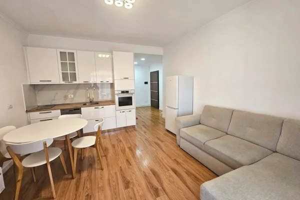 Shtepi me qera Apartament ne Tirane, 1+1, Mobilimi E mobiluar, Pagesa 60,000  Leke.