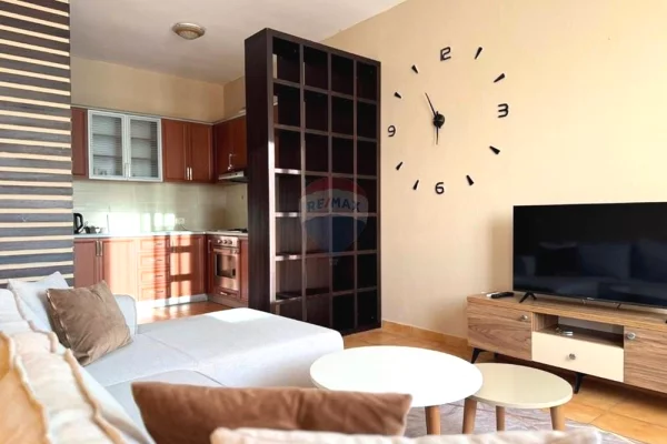 Shtepi me qera Apartament ne Tirane, 1+1, Mobilimi E mobiluar, Pagesa 700  Euro.