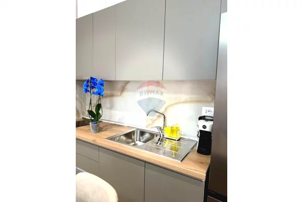 Shtepi me qera Apartament ne Tirane, 1+1, Mobilimi E mobiluar, Pagesa 65,000  Leke.