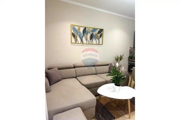 Shtepi me qera Apartament ne Tirane, 1+1, Mobilimi E mobiluar, Pagesa 65,000  Leke.