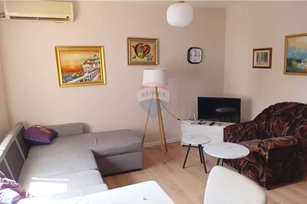 Shtepi me qera Apartament ne Tirane, 1+1, Mobilimi E mobiluar, Pagesa 500  Euro.