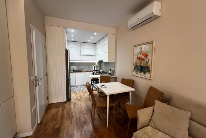 Shtepi me qera Apartament ne Tirane, 1+1, Mobilimi E mobiluar, Pagesa 750  Euro.