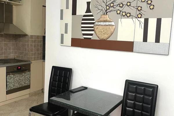 Shtepi me qera Apartament ne Tirane, Garsoniere, Mobilimi E mobiluar, Pagesa 500  Euro.