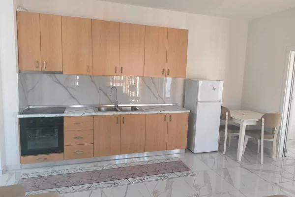 Shtepi me qera Apartament ne Tirane, 1+1, Mobilimi E mobiluar, Pagesa 500  Euro.