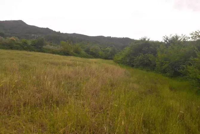 Toke Bujqesore ne Shitje-Qilarisht,Permet.