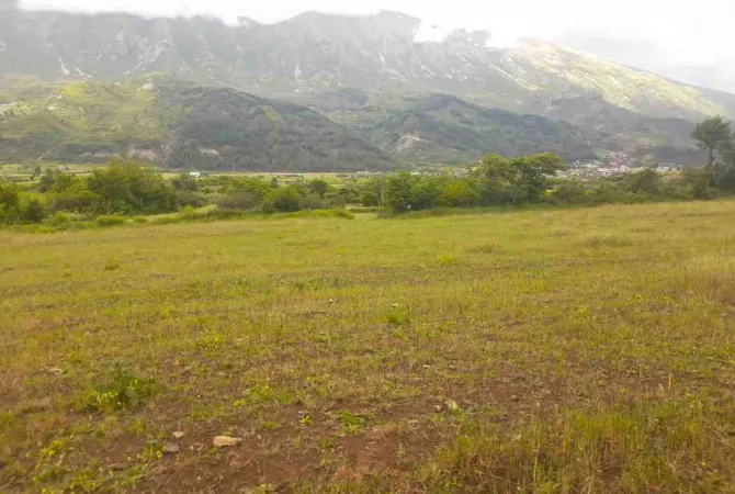 Truall ose Toke ne Gjirokaster - 50,000 Euro