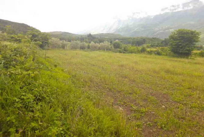 Truall ose Toke ne Gjirokaster - 50,000 Euro