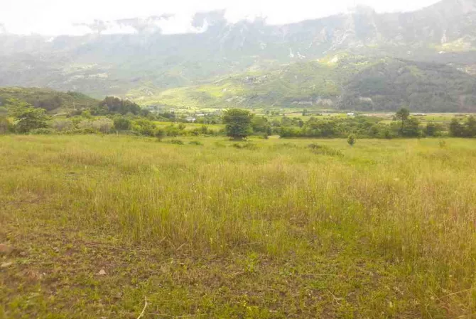 Toke Bujqesore ne Shitje-Qilarisht,Permet.