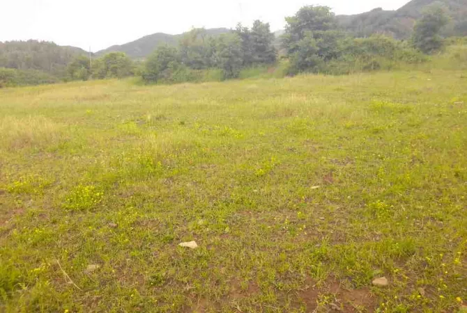 Toke Bujqesore ne Shitje-Qilarisht,Permet.