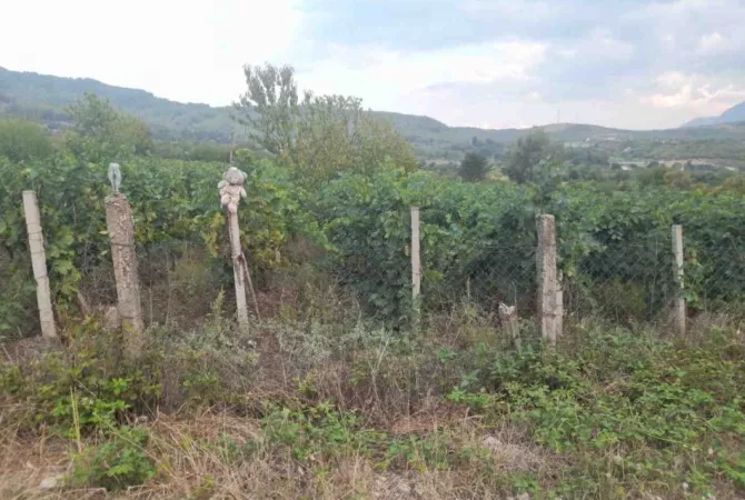 Shitet Vresht ne Qilarisht!!