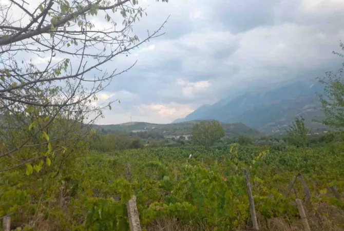 Truall ose Toke ne Gjirokaster - 4,400,000 Leke