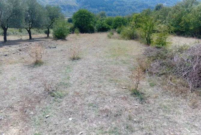 Truall ose Toke ne Gjirokaster - 660,000 Leke