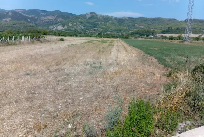 Shitet Toke ne Qilarisht