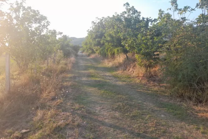 Shitet Toke Bujqesore ne fshatin Qilarisht