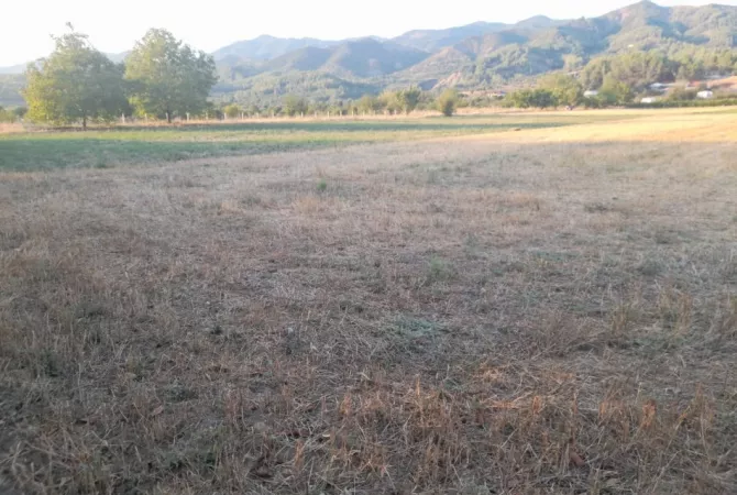 Shitet Toke Bujqesore ne fshatin Qilarisht