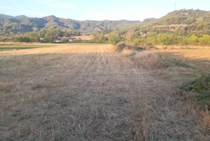 Shitet Toke Bujqesore ne fshatin Qilarisht