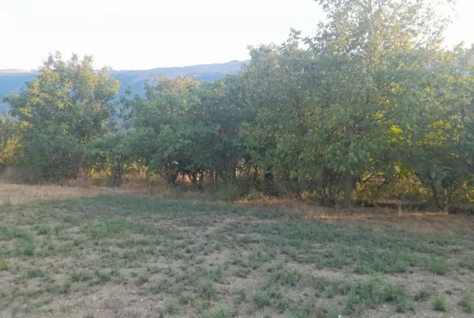 Shitet Toke Bujqesore ne fshatin Qilarisht