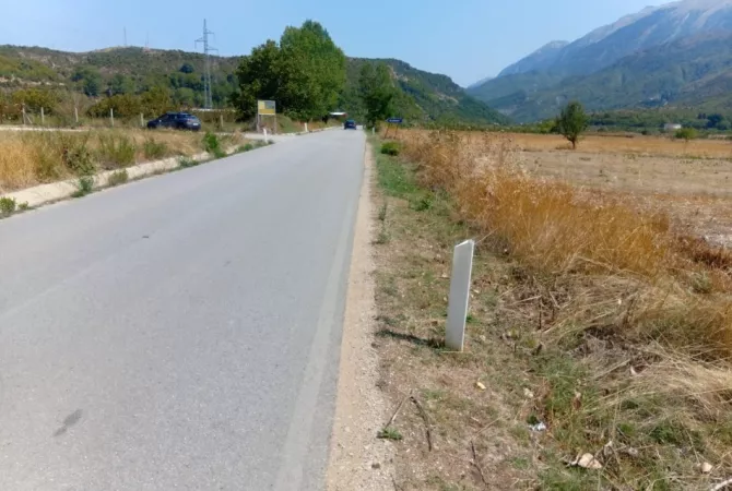 Shitet Toke ne Fshatin Qilarisht