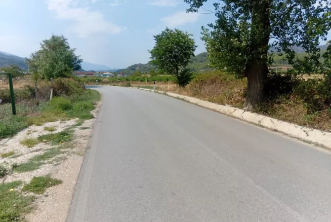 Shitet Toke ne Fshatin Qilarisht