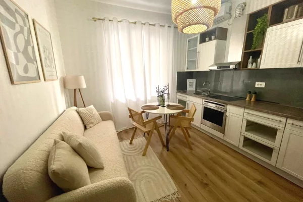 Shtepi me qera Apartament ne Tirane, 1+1, Mobilimi E mobiluar, Pagesa 45,000  Leke.