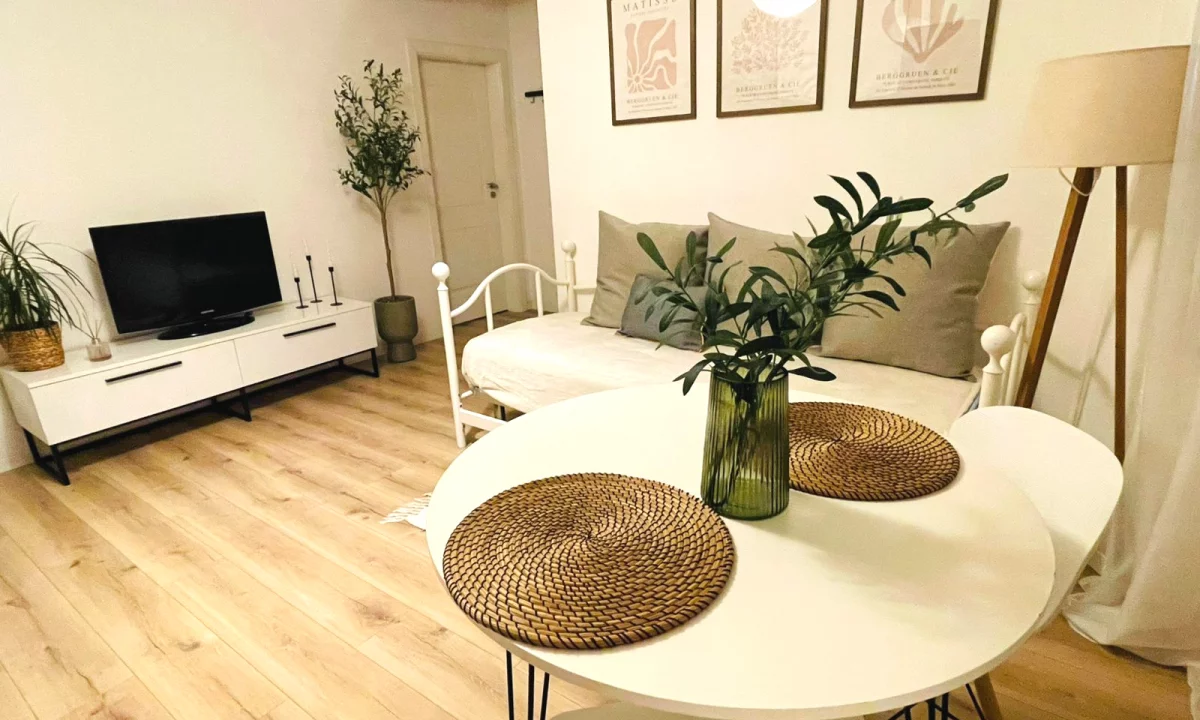 Apartment for rent in Tirana 1+1, Furnished