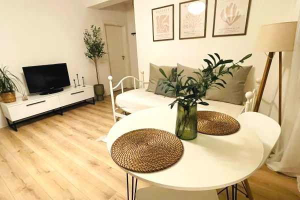 House for Rent 1+1 in Tirana - 45,000 Leke