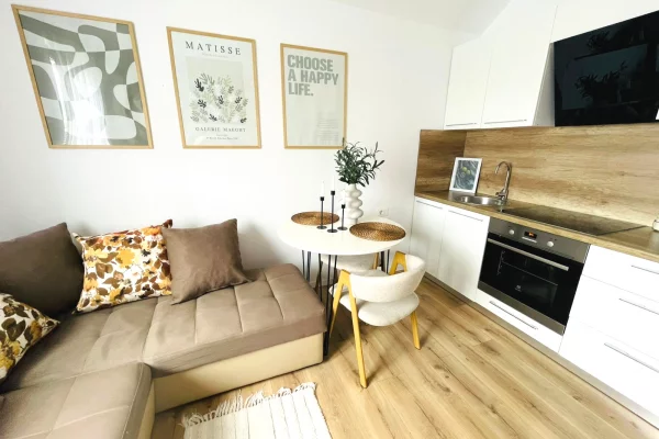 Shtepi me qera Apartament ne Tirane, 1+1, Mobilimi E mobiluar, Pagesa 45,000  Leke.