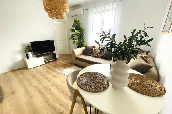 Shtepi me qera Apartament ne Tirane, 1+1, Mobilimi E mobiluar, Pagesa 45,000  Leke.