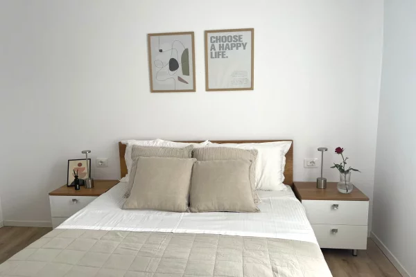 Shtepi me qera Apartament ne Tirane, 1+1, Mobilimi E mobiluar, Pagesa 45,000  Leke.