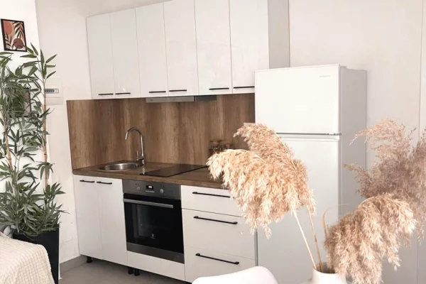 Shtepi me qera Shtepi Private ne Tirane, Garsoniere, Mobilimi E mobiluar, Pagesa 40,000  Leke.