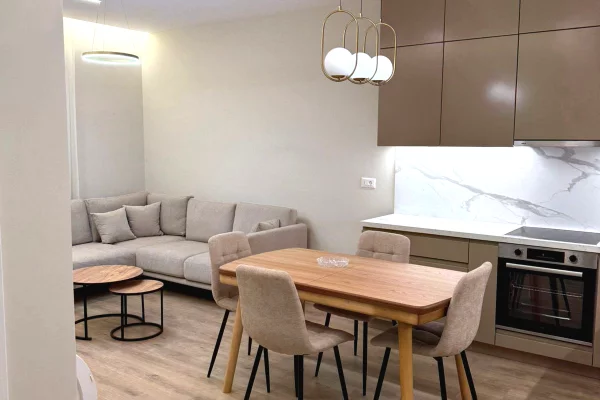 Apartment for rent in Tirana 1+1, Furnished