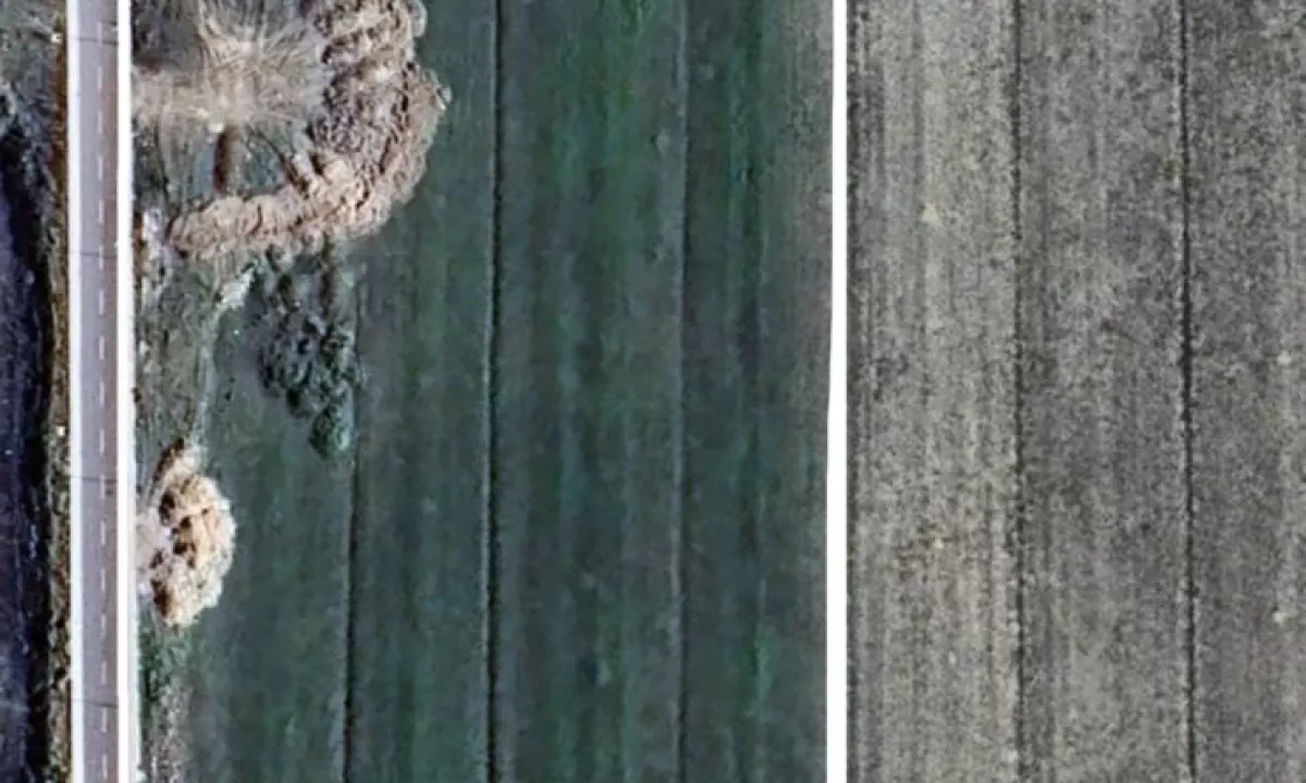 Shitet trualli ne sektor 