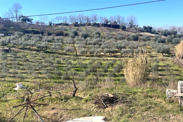 Truall ose Toke ne Durres - 7,500,000 Leke