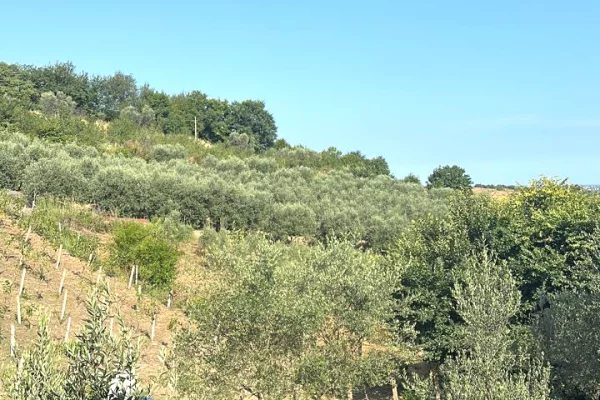 Truall ose Toke ne Durres - 7,500,000 Leke