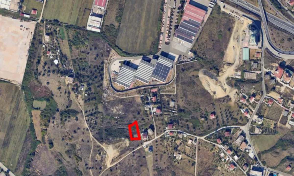 Shitet toke prane Mbikalimit te Rinasit