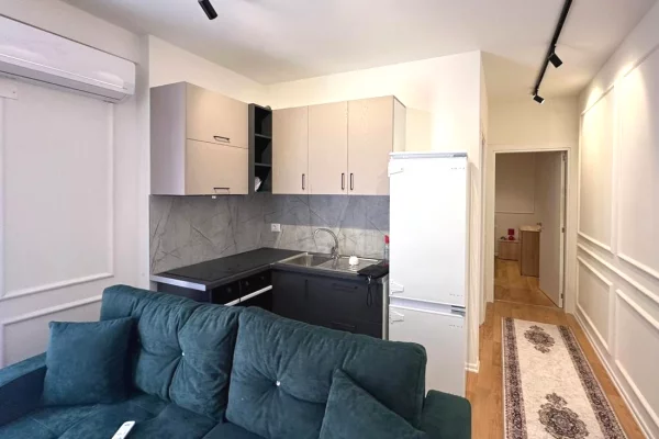 House for Rent 1+1 in Tirana - 55,000 Leke