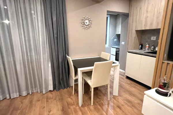Shtepi me qera Apartament ne Tirane, 1+1, Mobilimi E mobiluar, Pagesa 552  Euro.