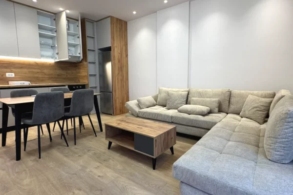 Shtepi me qera Apartament ne Tirane, 1+1, Mobilimi E mobiluar, Pagesa 599  Euro.