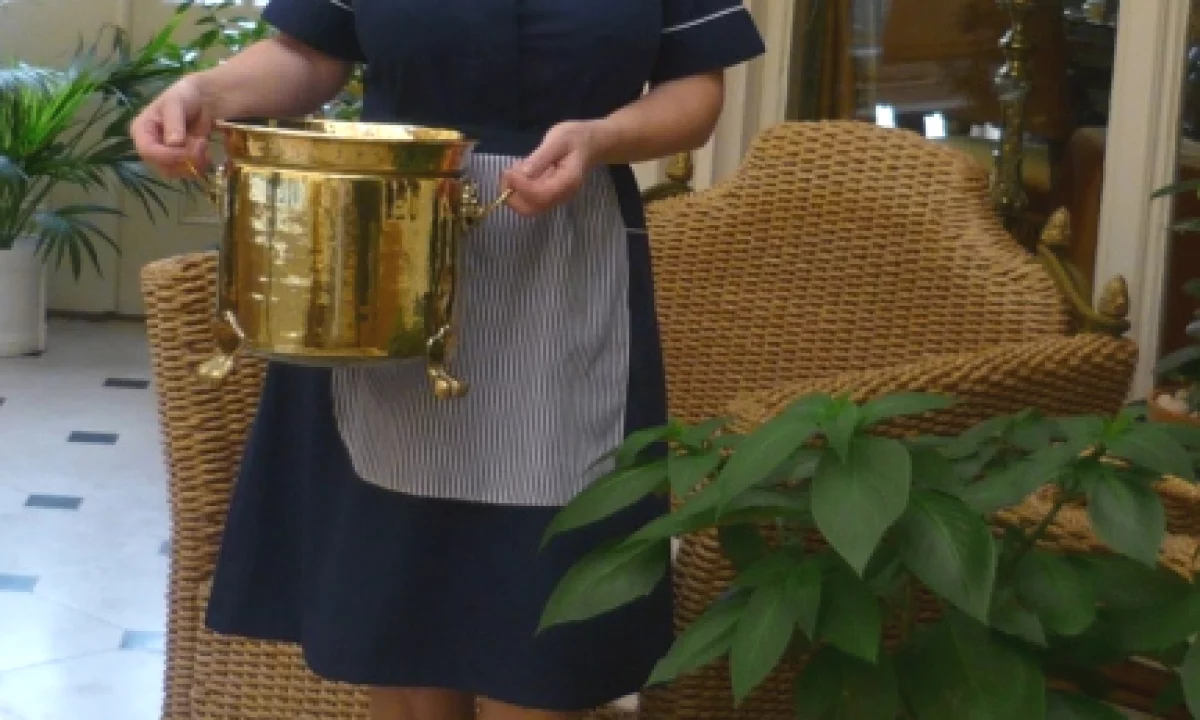 Njoftime Pune ne Tirane, Profesioni Zonjë për punë shtëpie , Me eksperience, Pagesa 60,000  Leke.