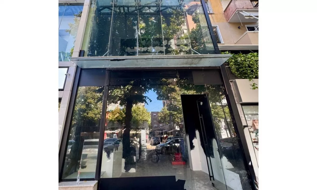 Ambjent Biznesi Duplex me qera – Sheshi “Willson”