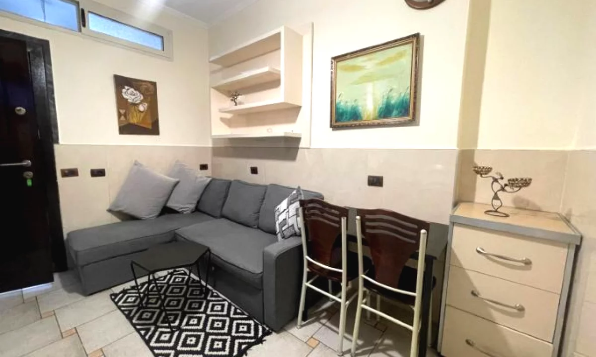 Shtepi me qera Apartament ne Tirane, 1+1, Mobilimi E mobiluar, Pagesa 450  Euro.
