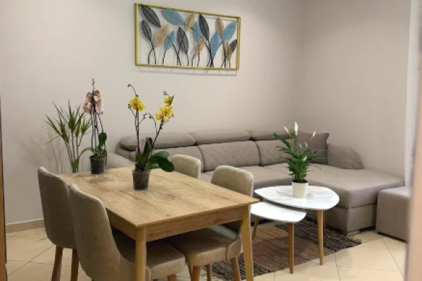 Shtepi me qera Apartament ne Tirane, 1+1, Mobilimi E mobiluar, Pagesa 65,000  Leke.