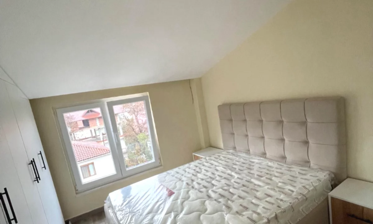 Shtepi me qera Vila Luksoze ne Tirane, 1+1, Mobilimi E mobiluar, Pagesa 450  Euro.