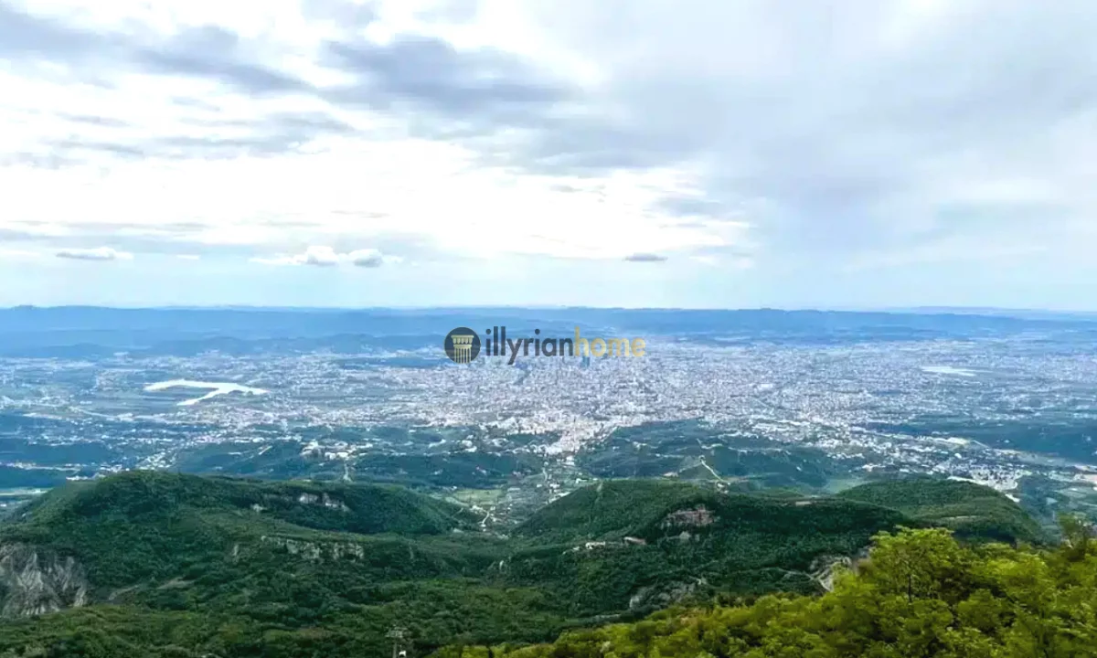 Shitet Toke me pozicion te favorshem gjeografik, “Surrel”, Tirane