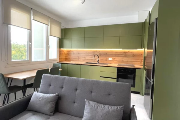 Shtepi me qera Apartament ne Tirane, 2+1, Mobilimi Pjeserisht e mobiluar, Pagesa 700  Euro.