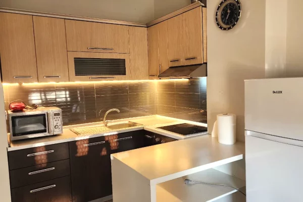 Shtepi me qera Apartament ne Tirane, 1+1, Mobilimi Pjeserisht e mobiluar, Pagesa 450  Euro.