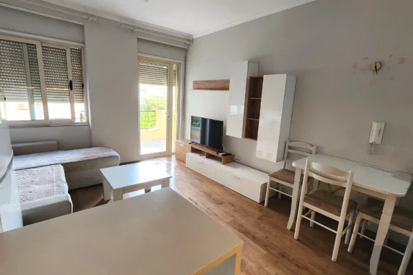 Shtepi me qera Apartament ne Tirane, 1+1, Mobilimi Pjeserisht e mobiluar, Pagesa 450  Euro.